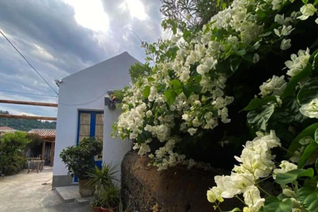 Casaammari Villa Acireale Eksteriør bilde