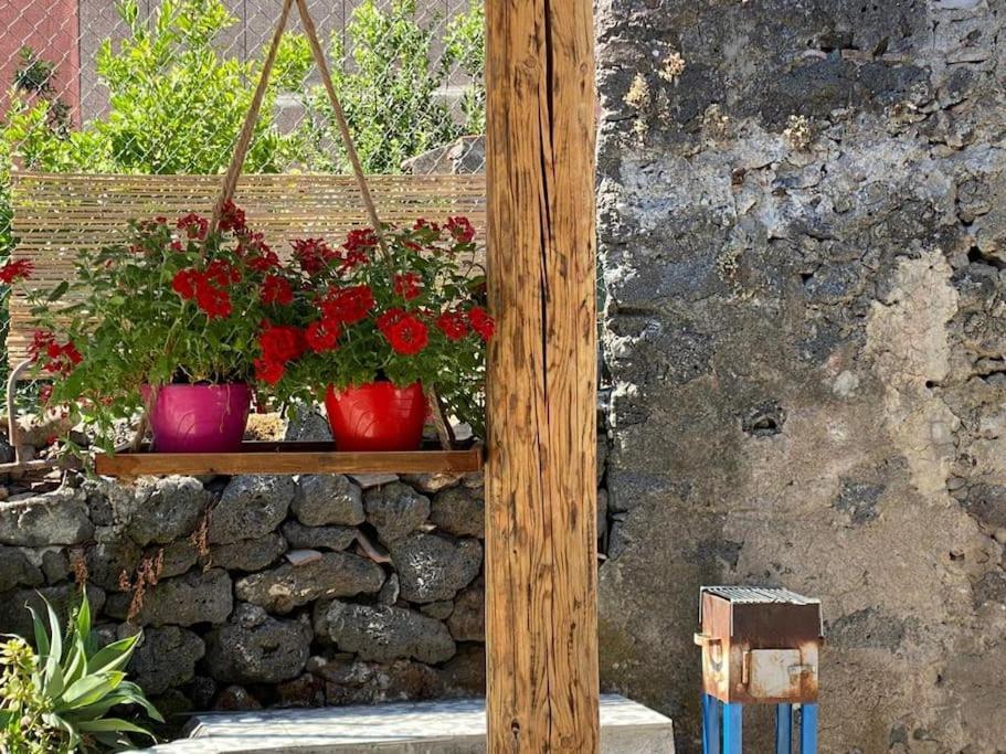 Casaammari Villa Acireale Eksteriør bilde